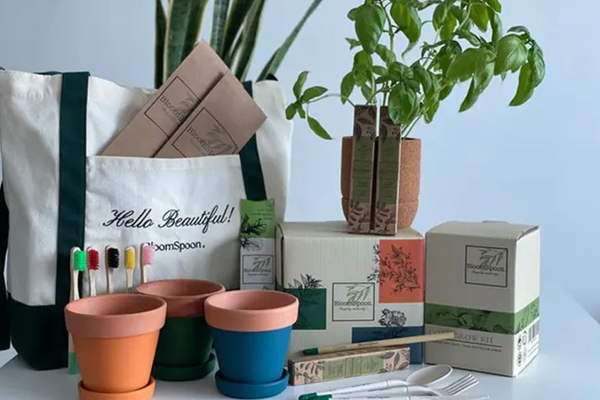 Credit: GCC Business News Bloomspoon Lands AED 800K to Grow Plantable Cutlery Brand