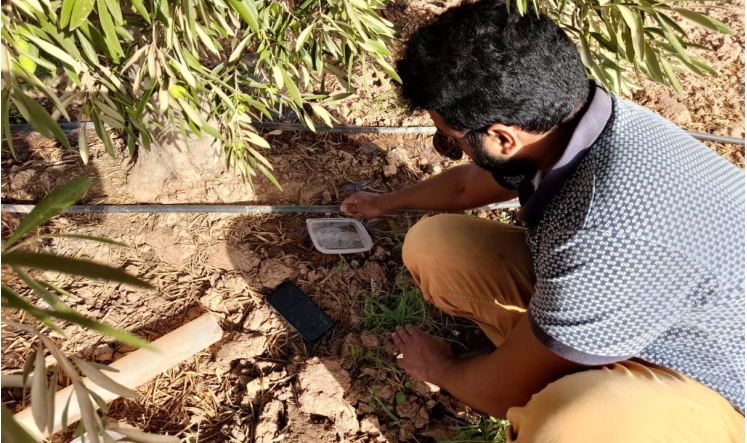 AgTech in MENA: How Digital Farming Tackles Food Security